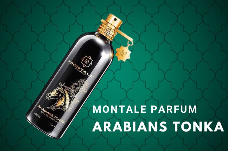 montale arabians tonka parfum